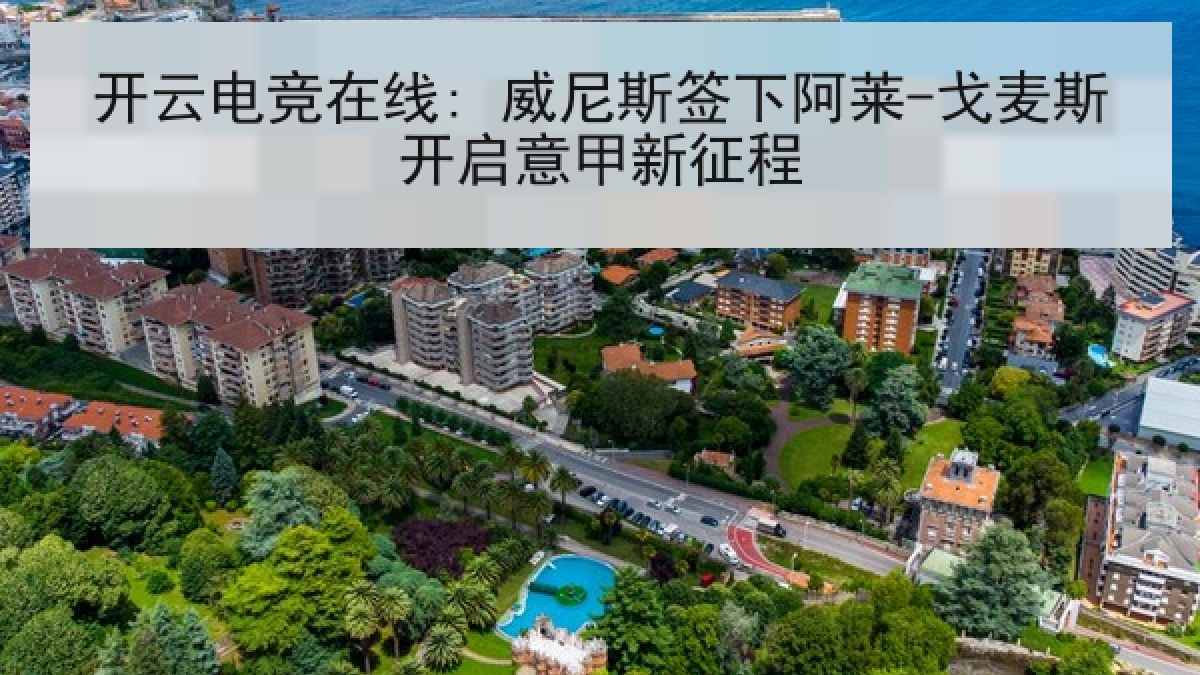 开云电竞在线: 威尼斯签下阿莱-戈麦斯开启意甲新征程